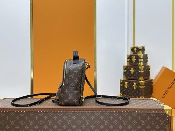 Louis Vuitton Backpack Backpack Brown
