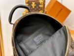 Louis Vuitton Backpack Backpack Brown