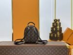 Louis Vuitton Backpack Backpack Brown