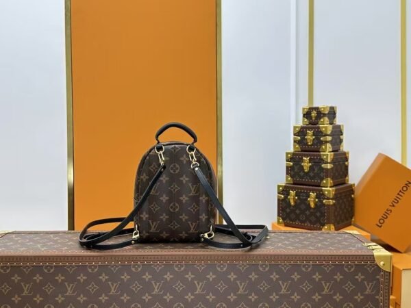 Louis Vuitton Backpack Backpack Brown