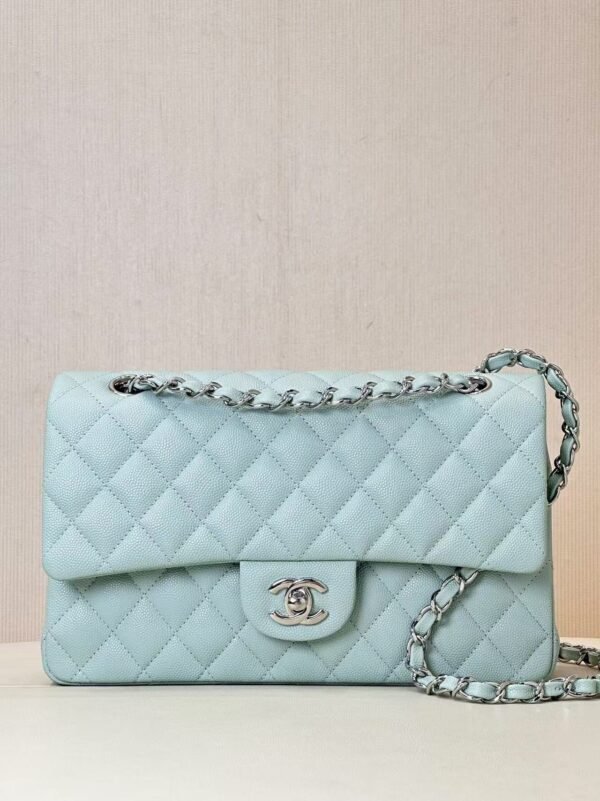 Chanel CF Bag Light Green