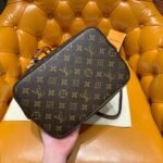 Louis Vuitton Bucket Bag Bucket Brown