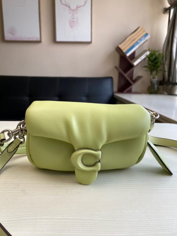 Coach Shoulder Bag Large Light Green