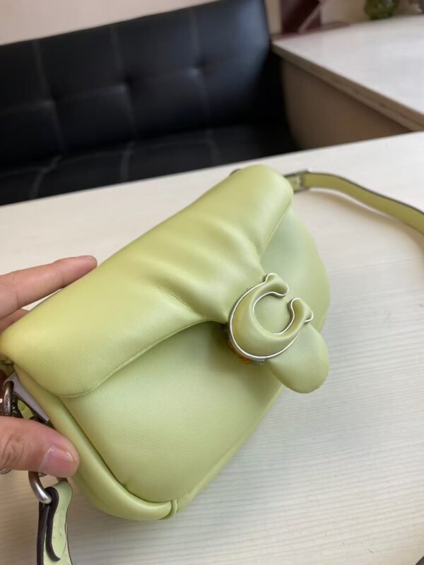 Coach Shoulder Bag Small Light Green