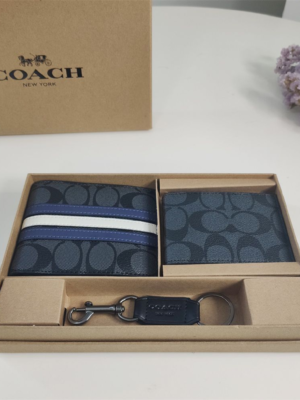Coach Small Wallet Print