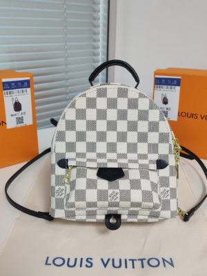 Louis Vuitton Backpack Backpack White Check