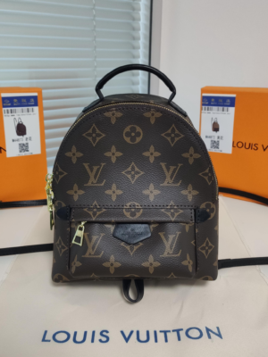 Louis Vuitton Backpack Backpack Brown