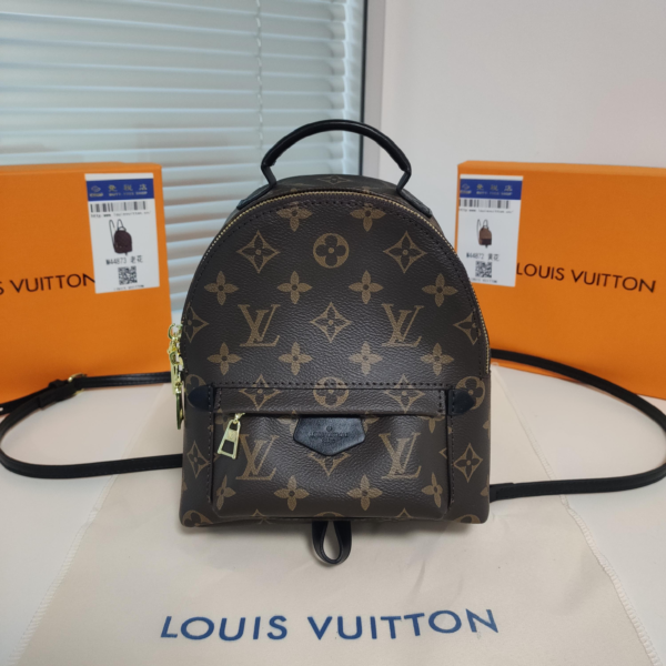 Louis Vuitton Backpack Backpack Brown