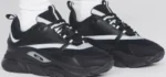 DIOR B22